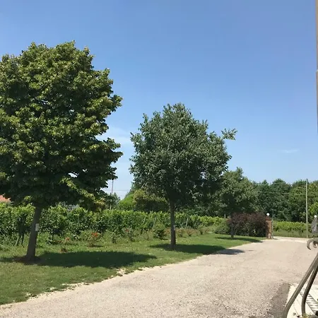 Gazza Ladra * Noventa di Piave